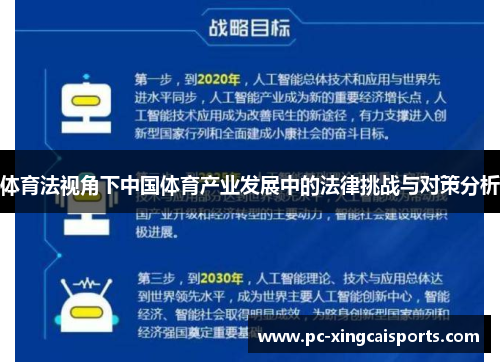 体育法视角下中国体育产业发展中的法律挑战与对策分析