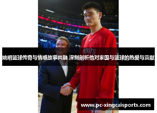 姚明篮球传奇与情感故事共融 深刻剖析他对家国与篮球的热爱与贡献